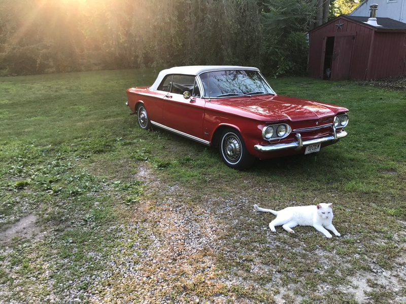 Illustration for article titled Oppo, meet Phil (bonus Corvair content)